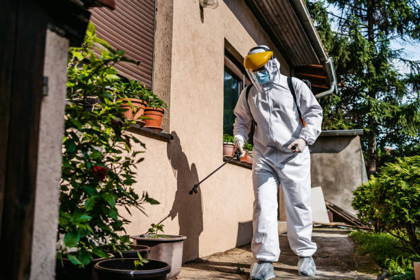 Best Insect Control  in Luck, WI