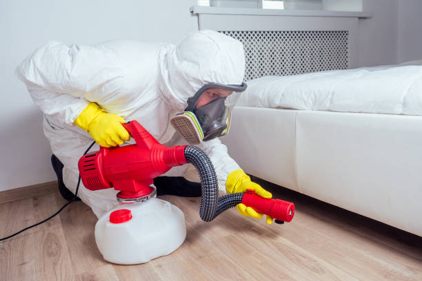 Best Residential Pest Control  in Luck, WI
