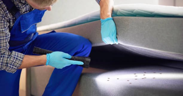Best Affordable Pest Control Services  in Luck, WI