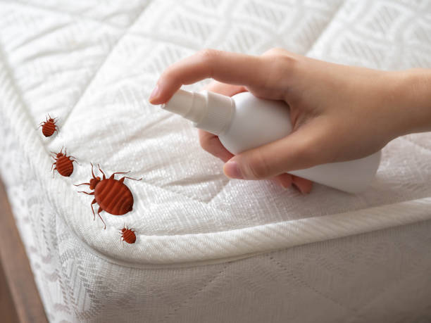 Best Emergency Pest Control  in Luck, WI