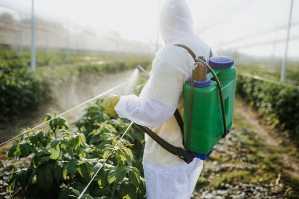 Best Ant Control Services  in Luck, WI